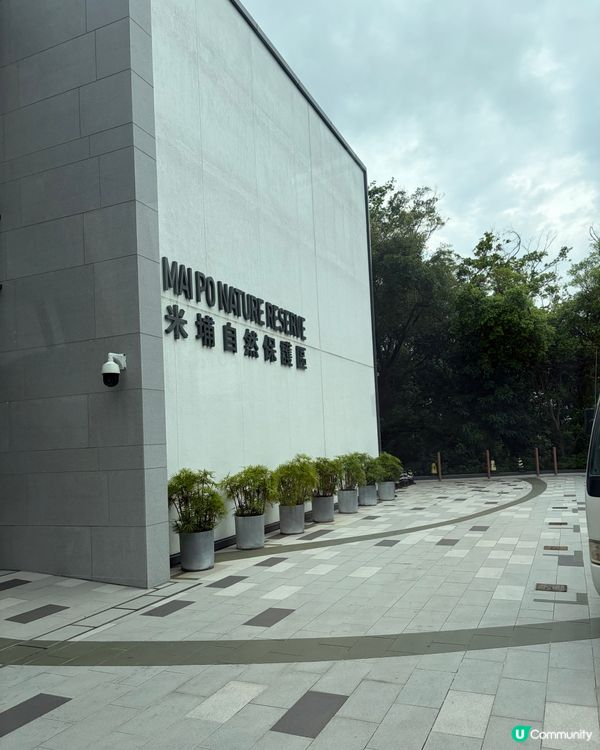 再度走入禁區收基圍蝦
