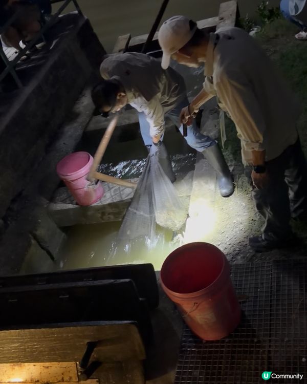再度走入禁區收基圍蝦