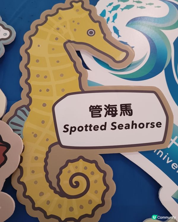海岸公園3️⃣0️⃣週年！🌊🐠🐾
