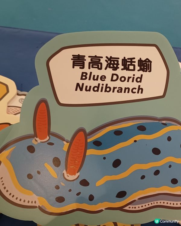 海岸公園3️⃣0️⃣週年！🌊🐠🐾