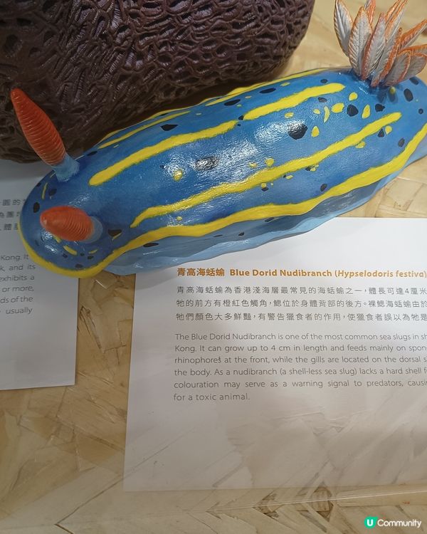 海岸公園3️⃣0️⃣週年！🌊🐠🐾