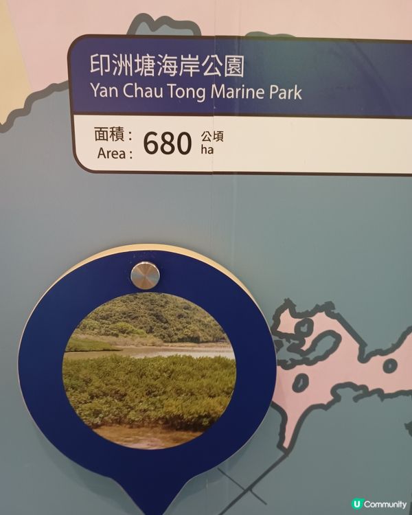 海岸公園3️⃣0️⃣週年！🌊🐠🐾