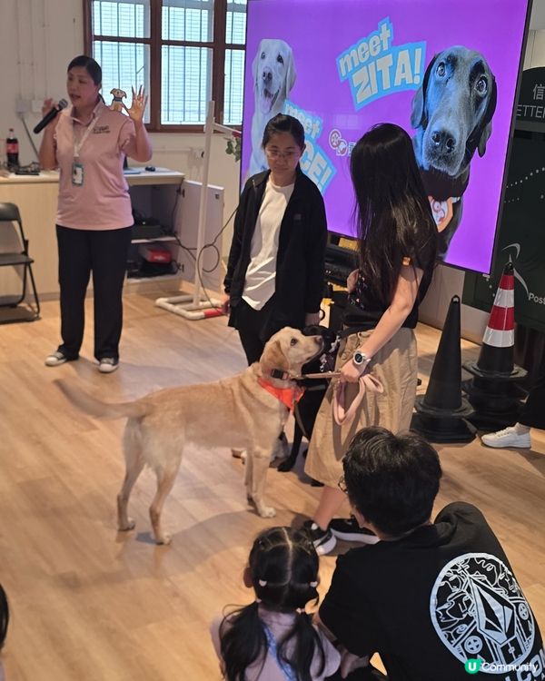 親子參加導盲犬導賞團！🐶👨‍👦 真溫馨又有意義 📸