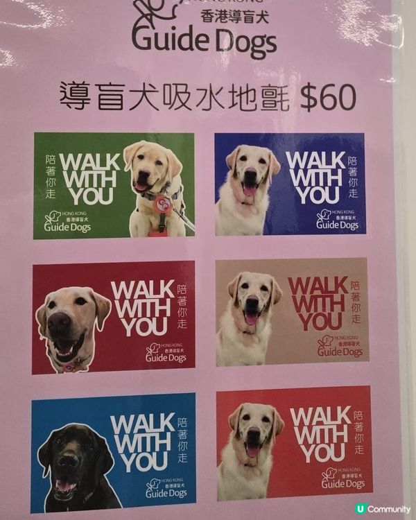 親子參加導盲犬導賞團！🐶👨‍👦 真溫馨又有意義 📸