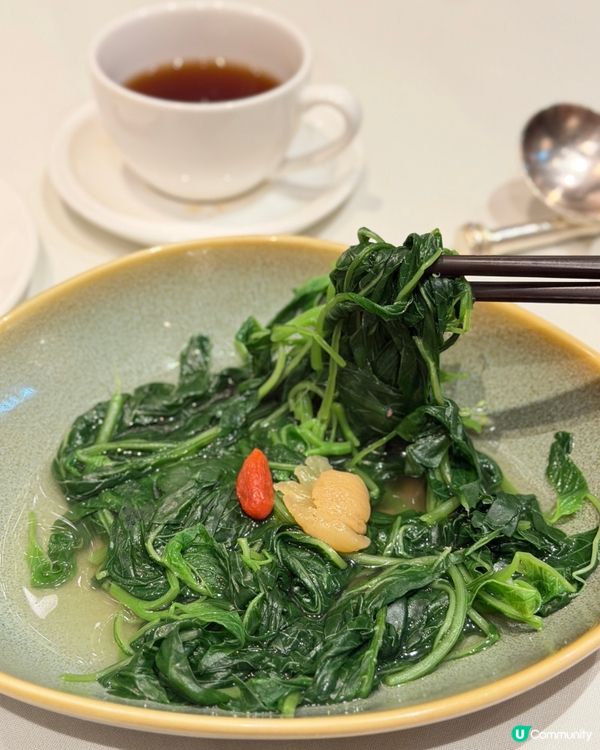 賞花後嘆高級中菜! 😋💰