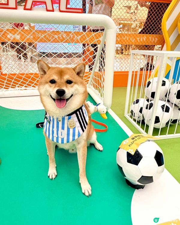 毛孩友FriendFest樂園 