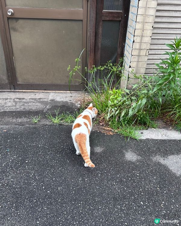 大阪動物園駅周邊