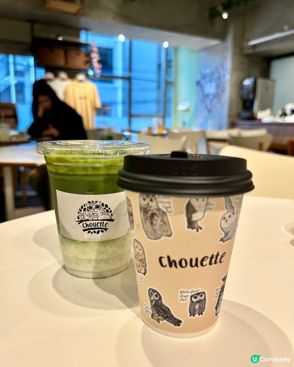 🤗親子互動好去處｜🇯🇵大阪貓頭鷹cafe 🦉｜仲可試餵🦉