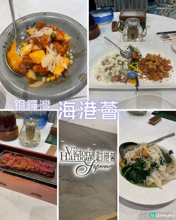 🍽️海港薈｜傳統粵菜驚喜與平實之間 🤔