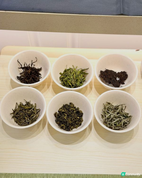 🍵🦋【忙裡偷閒】皇玥｢小圓茶餅 x 蝴蝶酥｣溫馨登場 ✨