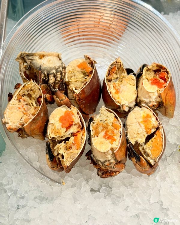 【🌊尖沙咀海鮮盛宴!朗廷酒店｢海續珍味｣自助晚餐🍽️】