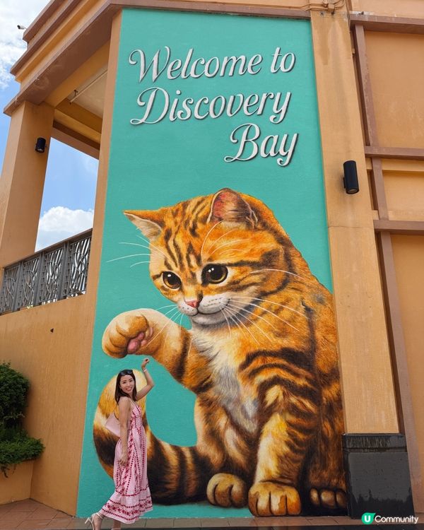 立即約定！🐶🐱 愉景灣藝術漫遊！🎨