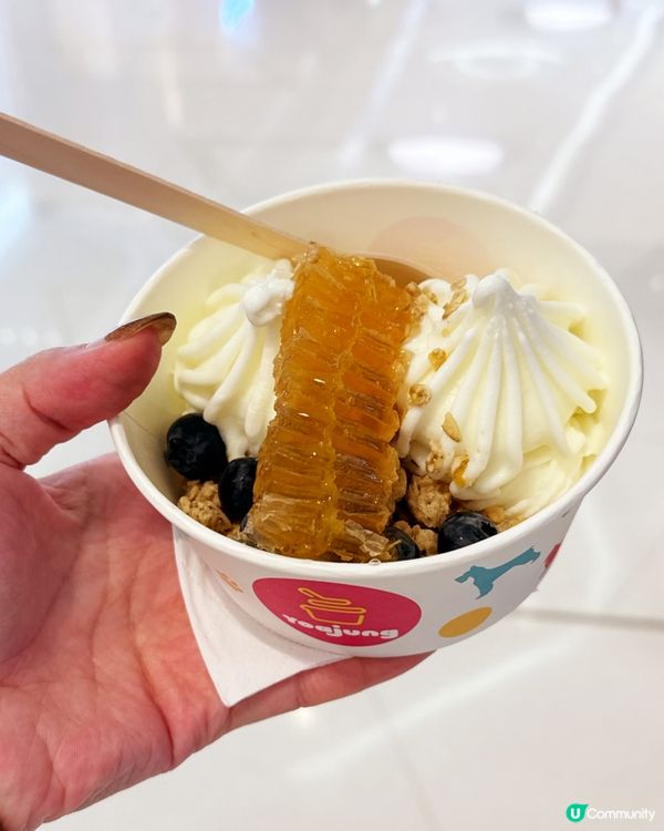 韓國名物登港！🐝 $58 食到蜂巢乳酪🍦✨