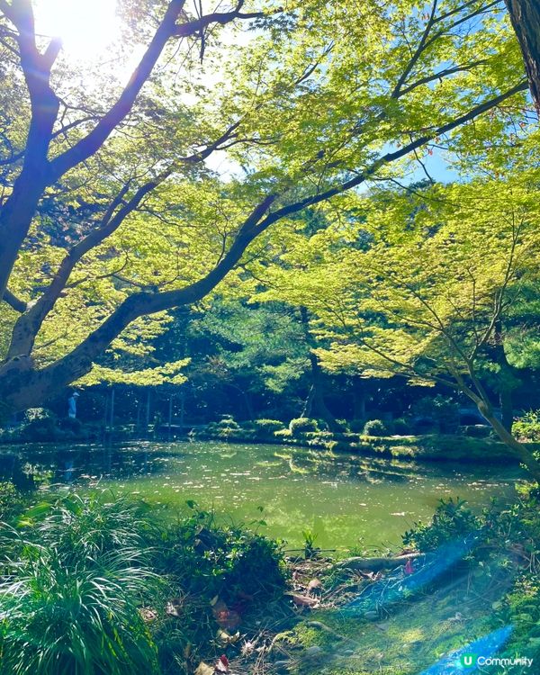 金澤尾山神社🇯🇵 日本國家重要文化財