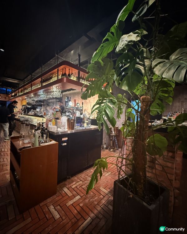 大埔文青意菜晚餐新體驗
