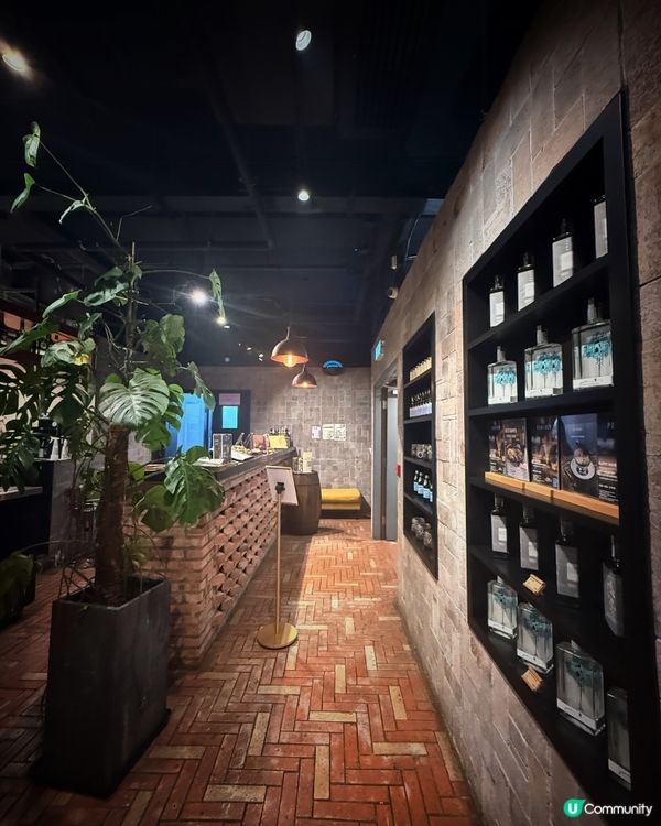 大埔文青意菜晚餐新體驗