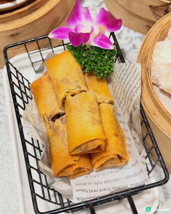 🥢 尖沙咀隱世點心!｢志成小館｣── 驚艷陳皮叉燒包 × 瀨...