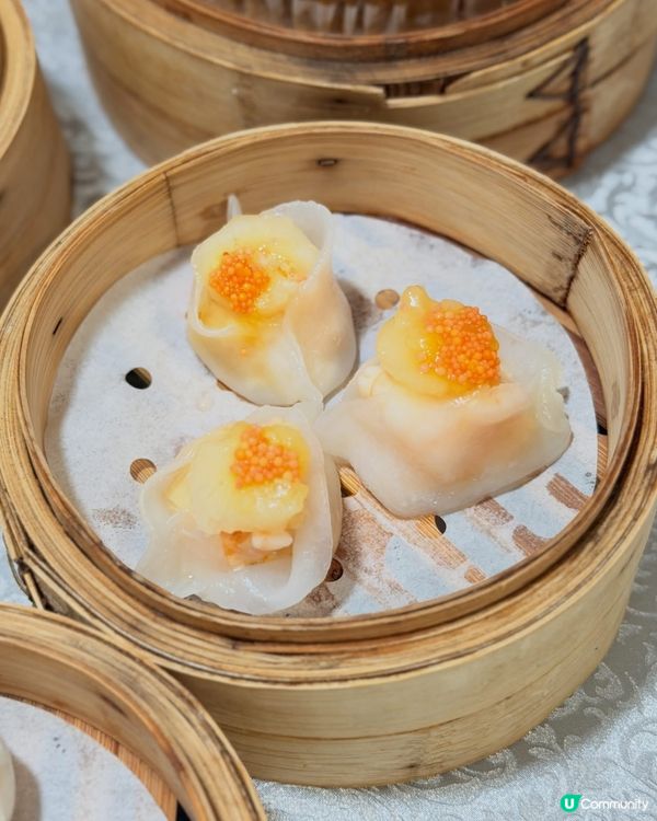 🥢 尖沙咀隱世點心!｢志成小館｣── 驚艷陳皮叉燒包 × 瀨...