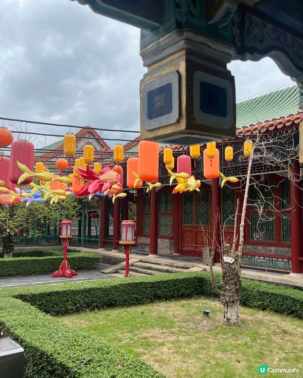 圓明新園學中醫！🤩