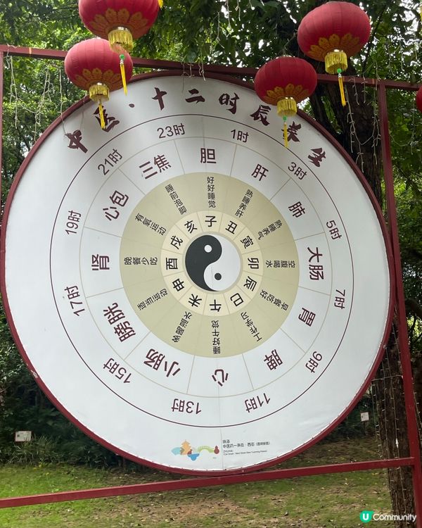 圓明新園學中醫！🤩
