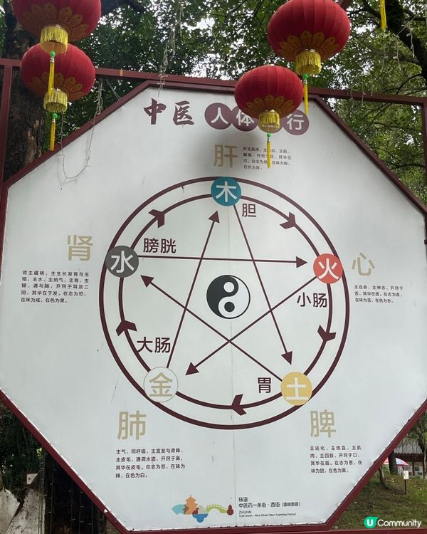 圓明新園學中醫！🤩