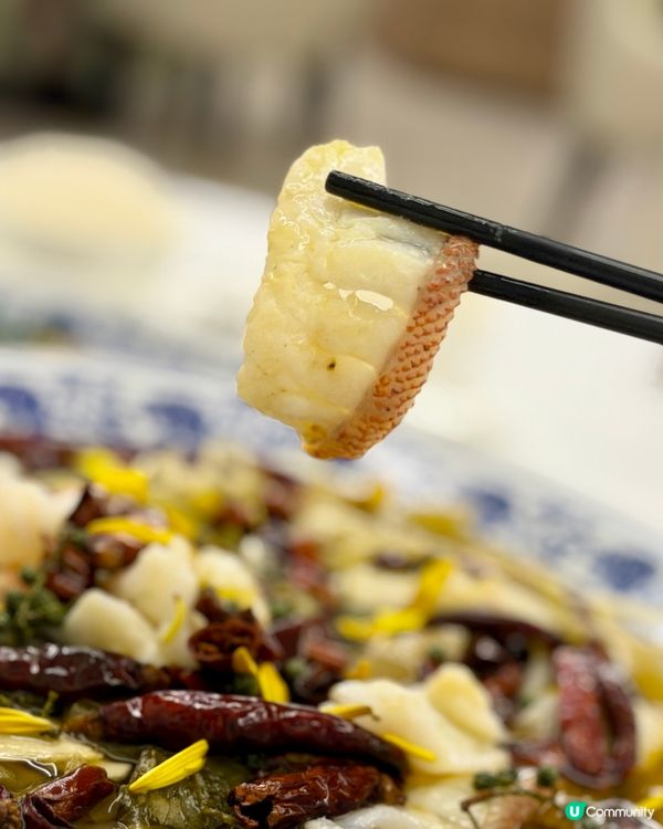 父親節去邊食？精緻中菜必選！👨‍👩‍👧‍👦