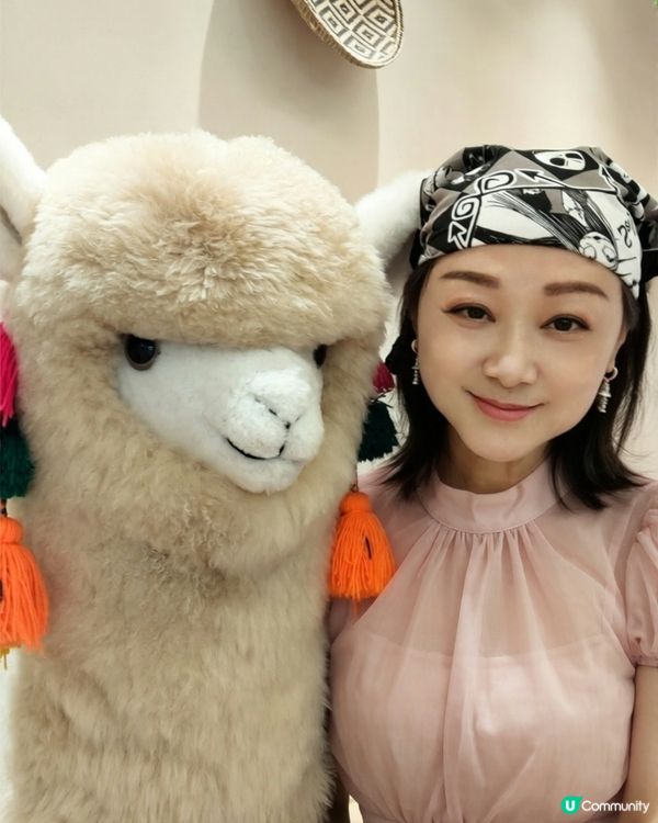 哇！深圳灣旗艦店勁多羊駝毛公仔🦙🎀！🧸☁️