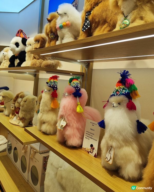 哇！深圳灣旗艦店勁多羊駝毛公仔🦙🎀！🧸☁️