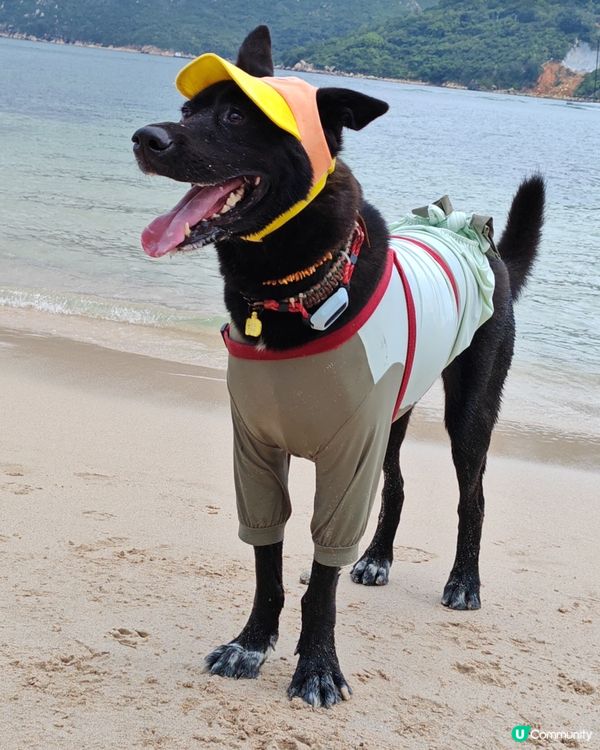 今日好天去東龍島 🏖️☀️🏝️