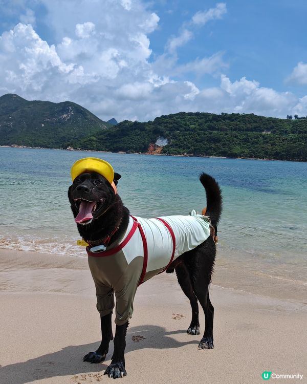 今日好天去東龍島 🏖️☀️🏝️