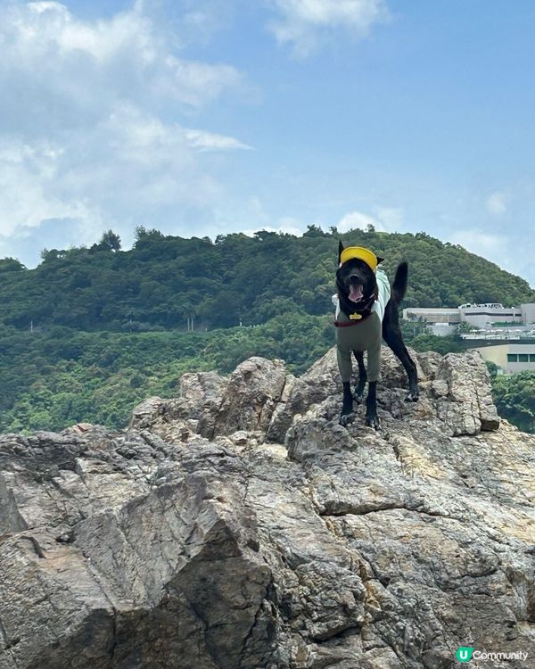 今日好天去東龍島 🏖️☀️🏝️