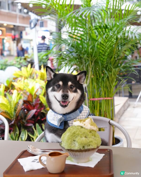 Mikiki新開糖水舖😍🍧
