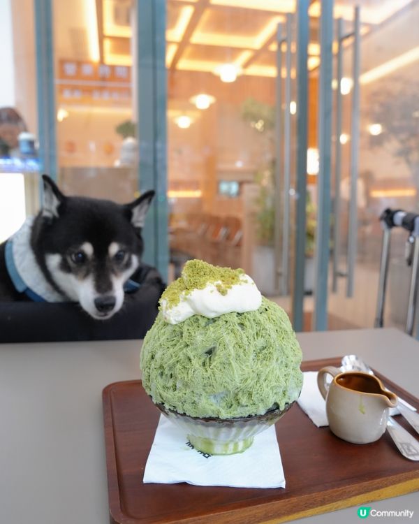 Mikiki新開糖水舖😍🍧