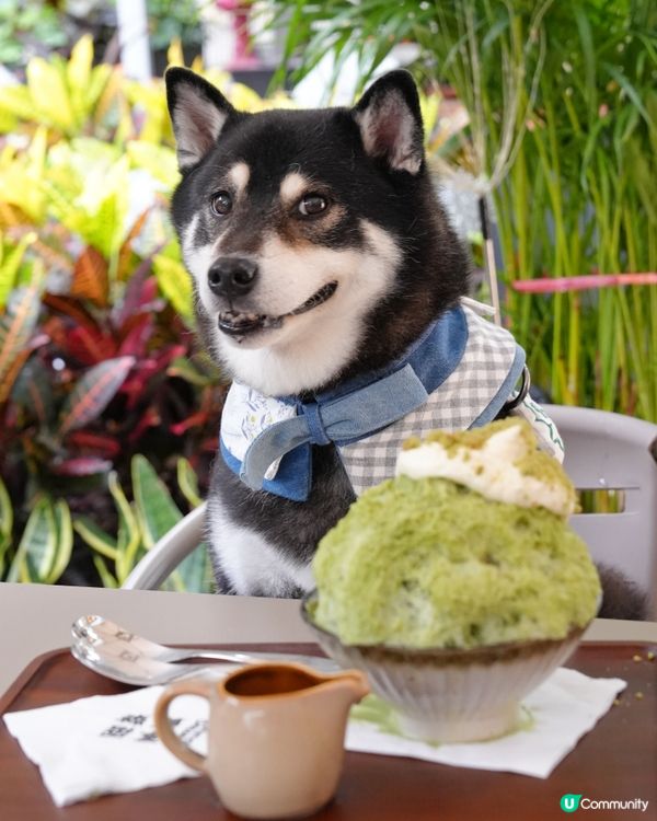 Mikiki新開糖水舖😍🍧