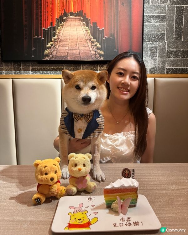 旺角寵物友善儀式感十足😋 達摩堂🐾壽喜燒