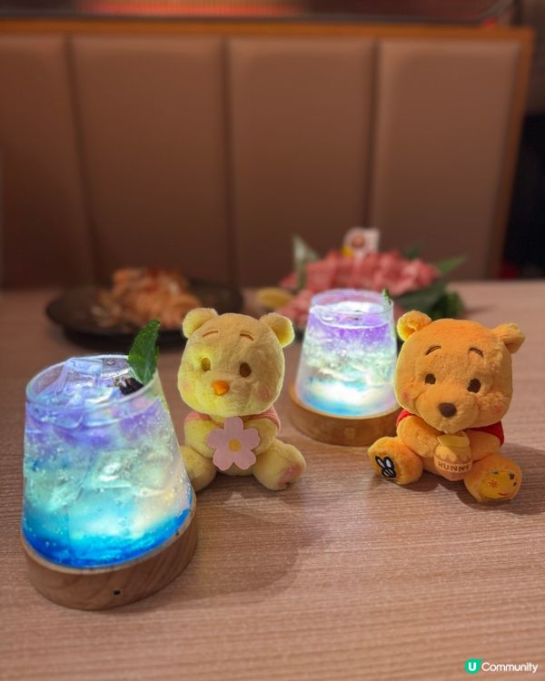 旺角寵物友善儀式感十足😋 達摩堂🐾壽喜燒