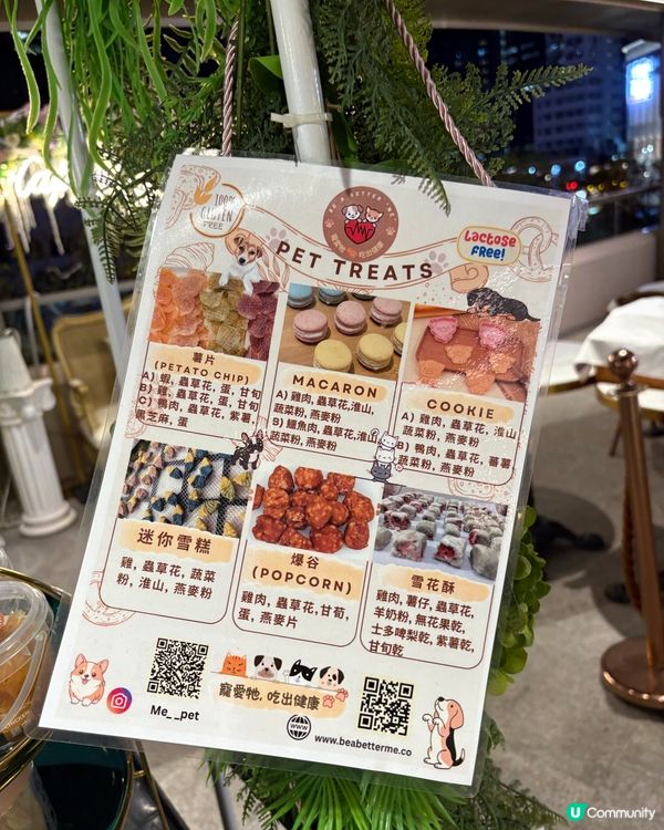 完美的的晚餐-Oink Oink