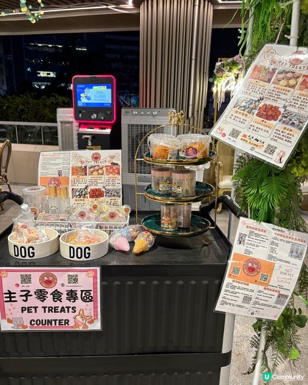 完美的的晚餐-Oink Oink
