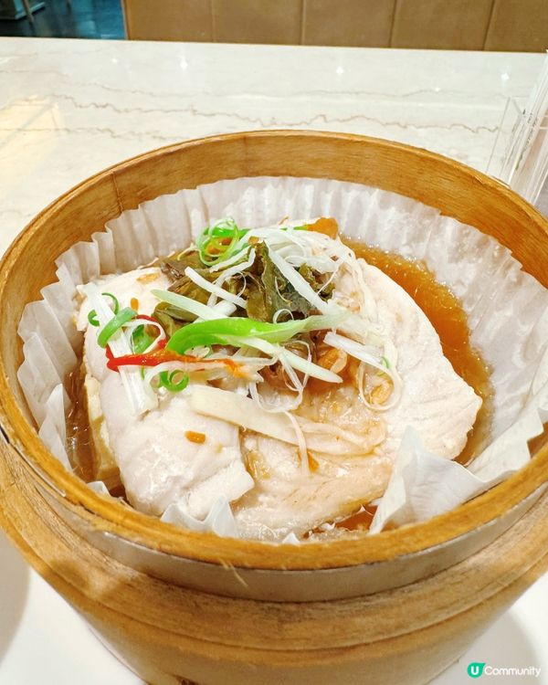 高雄大遠百！🍵🍽️ 🍵 天仁喫茶趣
