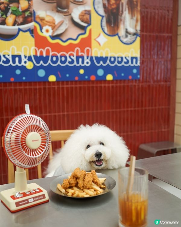 北角獨市唯一毛孩友善茶餐廳