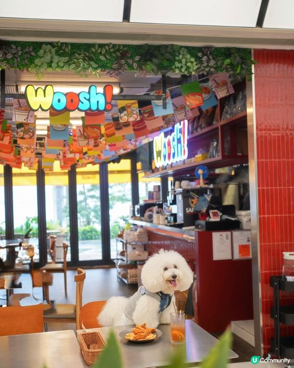 北角獨市唯一毛孩友善茶餐廳