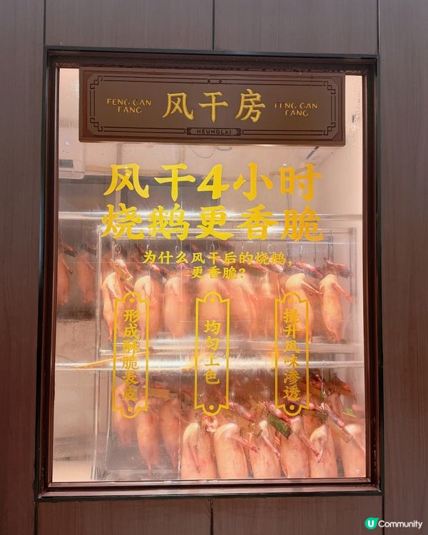 港人珠海私藏餐廳🌟柴火足料四小時老火湯