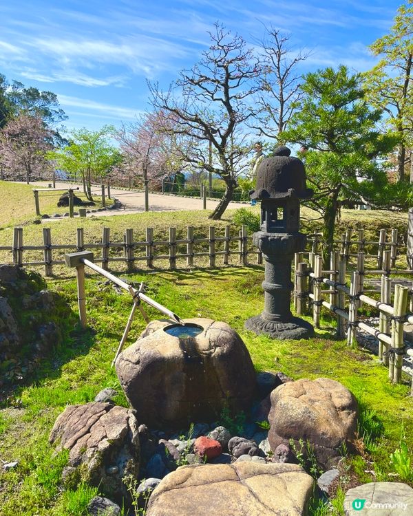 無縫直通！金澤城下水面如鏡的日式庭園🌿✨