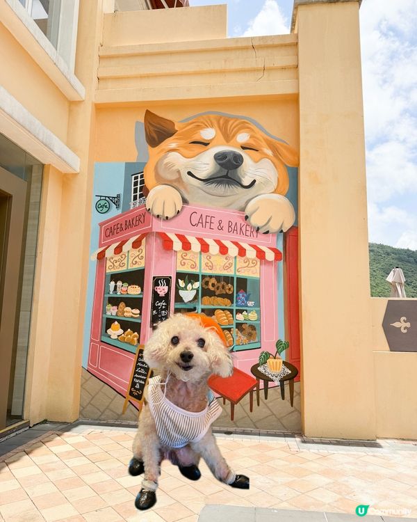 畫風又細緻又Cute,貓狗控直接失守 🐶😺