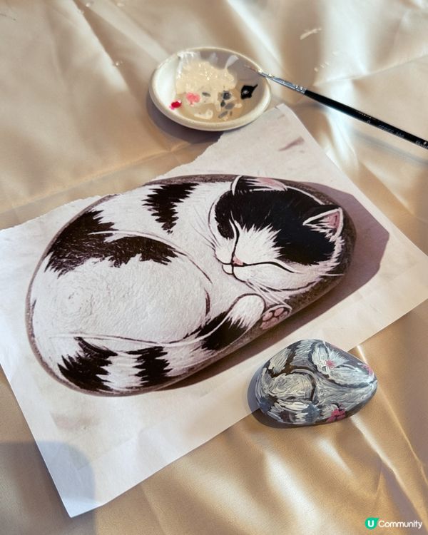 愉景灣變身貓狗藝術村🐶🎨 帶埋毛孩嚟瘋狂打卡