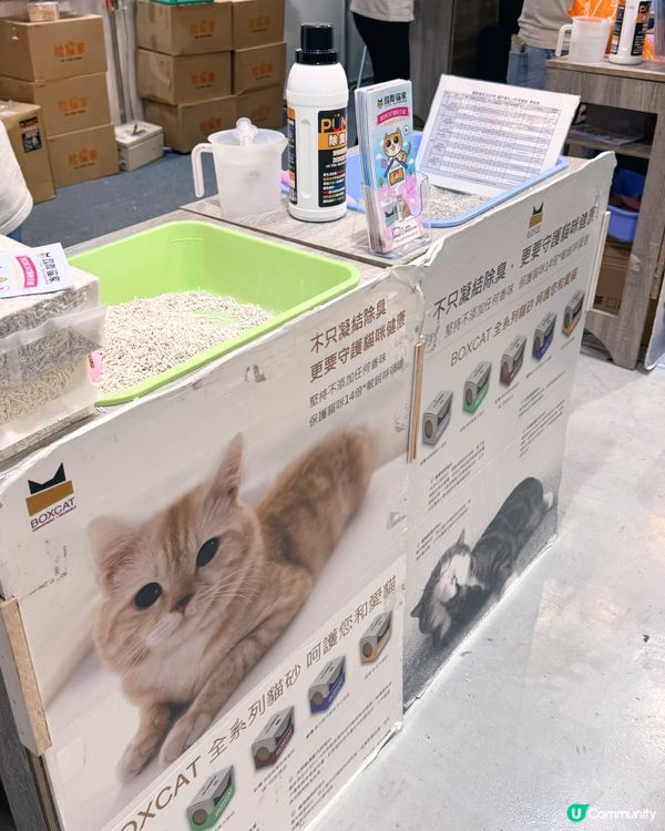 🌟 高雄寵物展🫶 掃貨時間到！💰