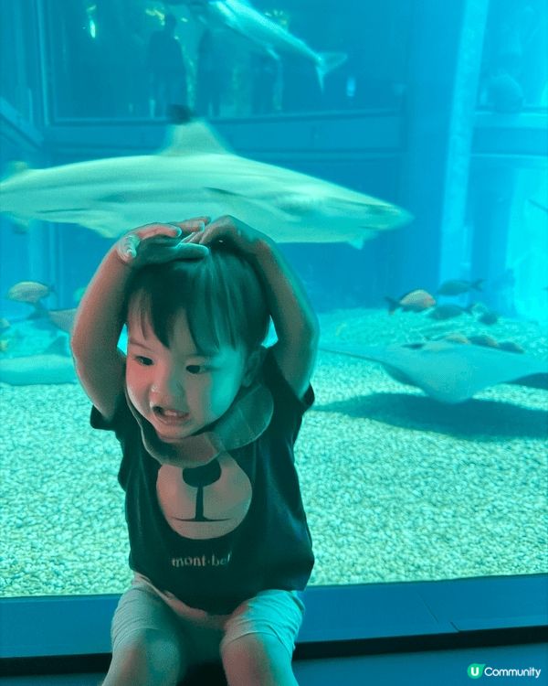 大阪海游館