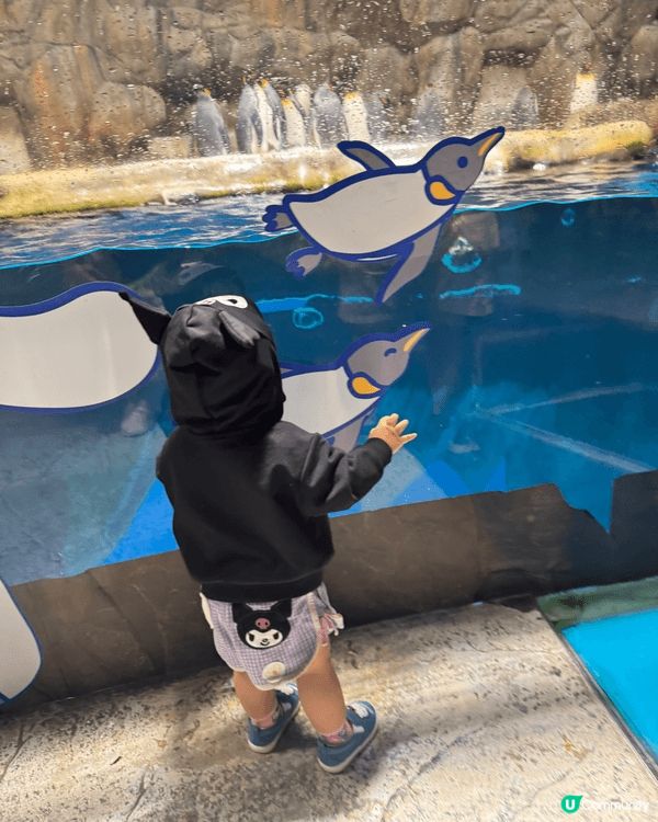 炎炎夏日去海洋公園，梗係同Kayla BB去水族館同企鵝館睇...