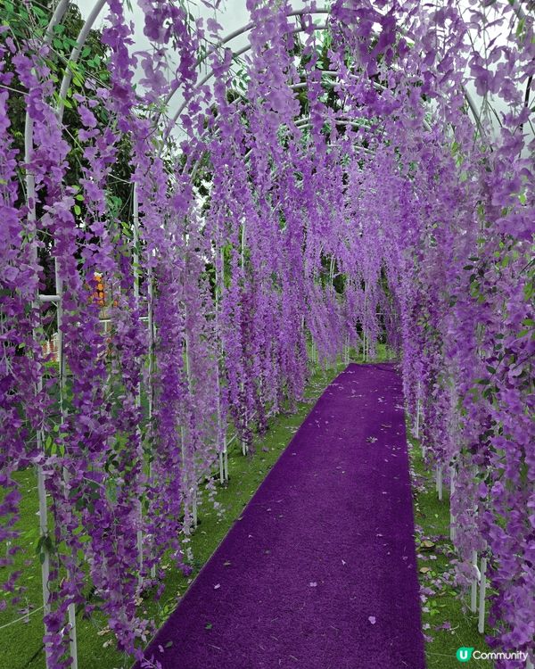 元朗信芯園擁有三萬呎絕美向日葵花海，結合各種不同的打卡造景，...