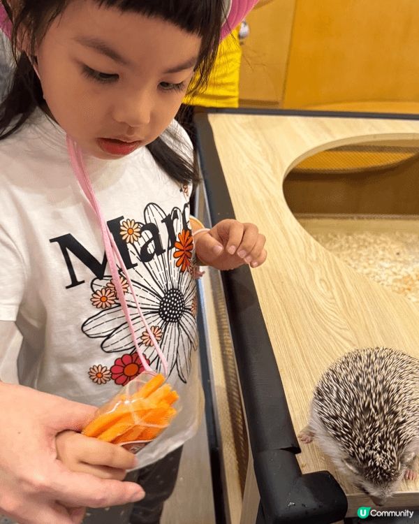 去動物園餵動物食東西，小朋友可以多接觸大自然，減少對電子屏幕...
